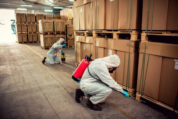Best Affordable Pest Control Services  in Wilmington Manor, DE