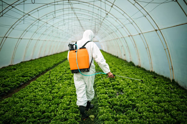 Best Pest Control Near Me  in Wilmington Manor, DE