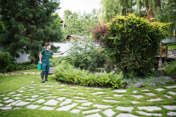 Best Best Pest Control Companies  in Wilmington Manor, DE