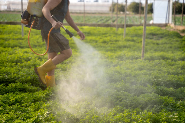 Best Mosquito Control Services  in Wilmington Manor, DE