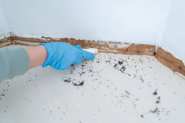 Best Best Pest Control Companies  in Wilmington Manor, DE